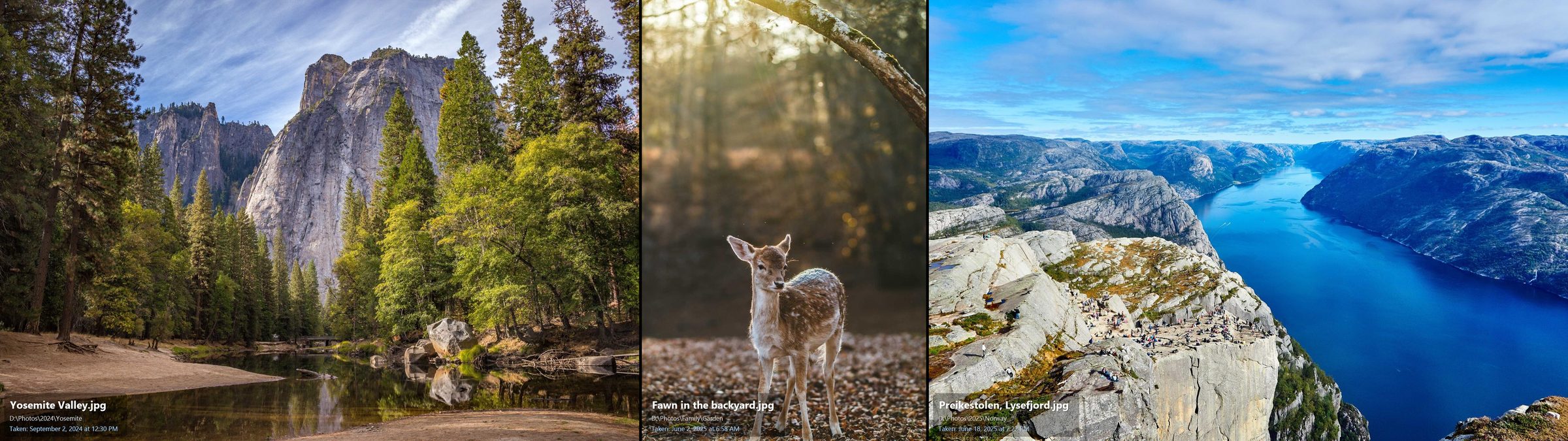A 5120 by 1440 super-ultrawide screen filled with three photos side by side: Yosemite Valley, a fawn in the backyard and the Lysefjord, each with its file name and date taken